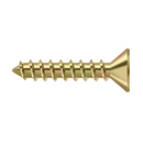 Deltana SCWS1010 Wood Screw, Steel,