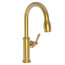 Newport Brass Chesterfield 1030-5103 Pull-down Kitchen Faucet - Stellar Hardware and Bath 