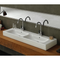 Pinto Rectangular Double White Ceramic Wall Mounted or Vessel Bathroom Sink - Stellar Hardware and Bath 