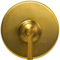 Balanced Pressure Tub & Shower Diverter Plate with Handle. Less Showerhead, arm and flange. - Stellar Hardware and Bath 