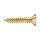 Deltana SCWB1010 Wood Screw, SB,